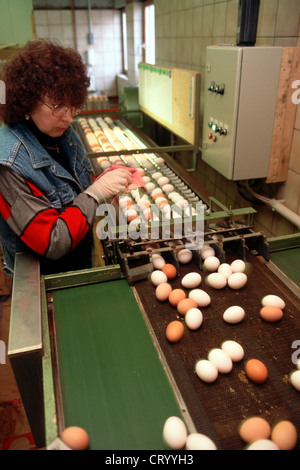 Ball control on a farm Stock Photo