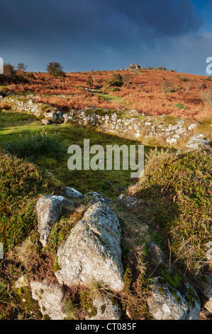 Hound Tor deserted Medieval Village on a winters morning, Dartmoor National Park. Stock Photo