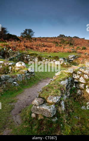 Hound Tor deserted Medieval Village on a winters morning, Dartmoor National Park. Stock Photo