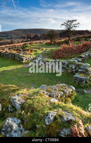 Hound Tor deserted Medieval Village on a bright winters morning, Dartmoor National Park. Stock Photo