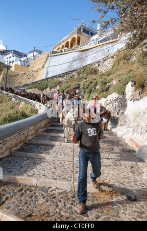 Man leading donkeys and tourists down the steps from Fira to Skala, Santorini, Greece Stock Photo