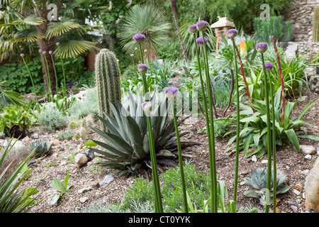 Xerophytic Garden at the Exotic Garden in Norwich - A collection of desert and arid plants by Will Giles Stock Photo