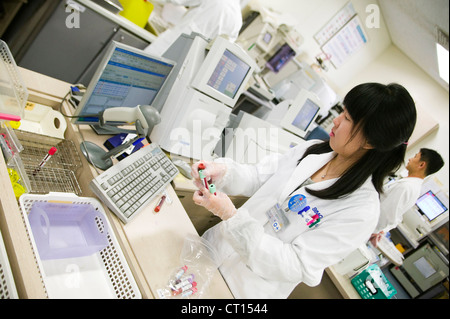 A technician analyzing blood samples Stock Photo