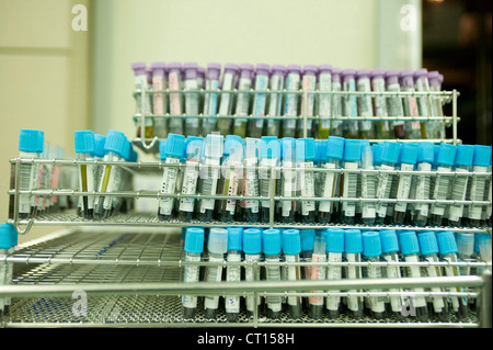 Blood samples are seperated into types after being tested and analysed. Stock Photo
