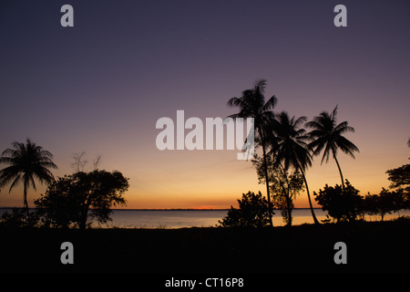 Silhouette of palm trees at sunset Stock Photo