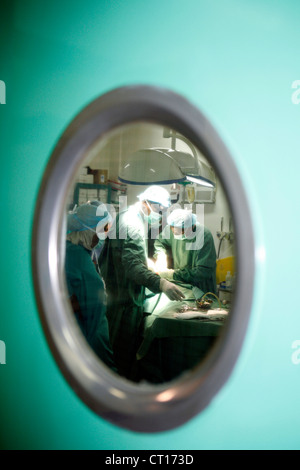 A view through an operating door window of surgical staff operating on a patient. Stock Photo