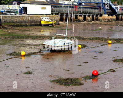 Boats and buoys lie on the mud at low tide in the harbour at Starcross,Dawlish,South Devon,England,UK. Stock Photo