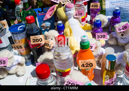 small items being offered as prizes in a village fete raffle tombola, UK Stock Photo