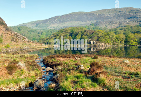 Stream lake forest and mountains at Llyn Dinas Nantgwynant Valley, Snowdonia National Park Gwynedd North Wales UK, Late Spring. Stock Photo