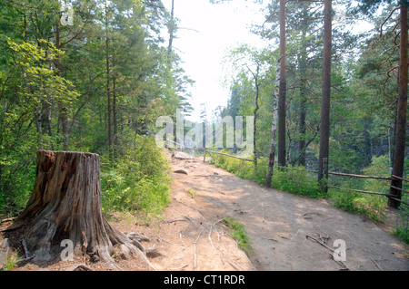 Arshan, Tunkinsky District, Republic of Buryatia, Siberia, Russian Federation Stock Photo