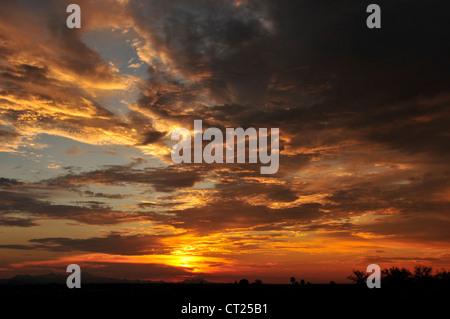 A sunset colors the sky during monsoon season in the Sonoran Desert,Tucson, Arizona, USA. Stock Photo