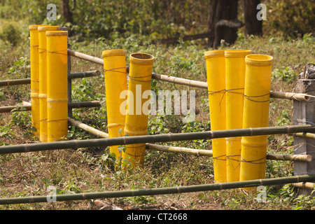 fireworks mortar tubes set up in field Stock Photo