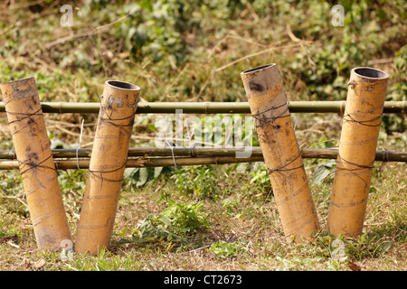 fireworks mortar tubes set up in field Stock Photo