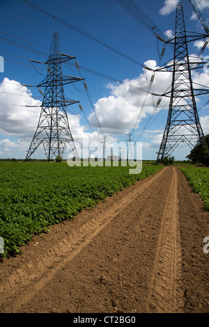 Sizewell power station through pylons, Suffolk , England Stock Photo