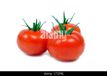 three fresh tomatos on white Stock Photo