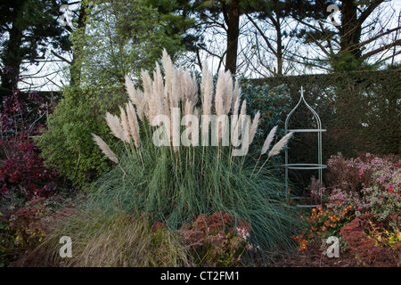 East Ruston Old Vicarage Gardens, Norfolk, Winter (Alan Gray and Graham Robeson). Pampass grass Stock Photo