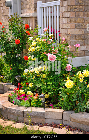 Natural stone landscaping in home rose garden Stock Photo