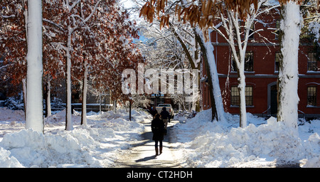 Harvard Yard, the old center of Harvard University campus, frosted in snow the day after a blizzard. Stock Photo