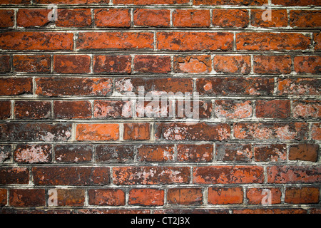 Old brick wall background Stock Photo
