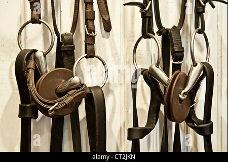 Riding gear in a stable tac room. Stock Photo