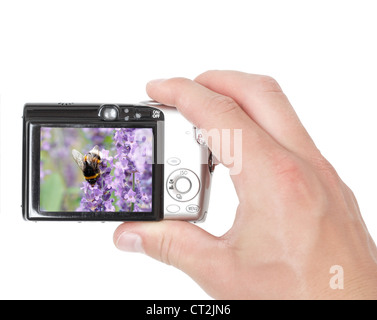 A hand taking digital pictures Stock Photo