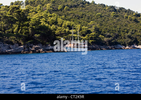 Yacht moored beside the shoreline beneath an Aleppo Pine Forest Lokrum Island Dubrovnik Dalmatia Croatia Stock Photo