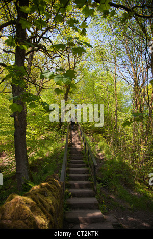 63 Miners Steps at Barrow Bridge in Bolton Stock Photo - Alamy