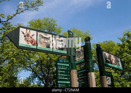 The Bronx Zoo, Wildlife Conservation Society, Bronx Park, Bronx, NYC Stock Photo