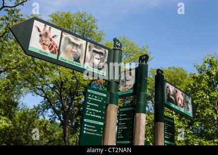 The Bronx Zoo, Wildlife Conservation Society, Bronx Park, Bronx, NYC Stock Photo