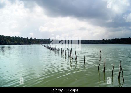 Backwaters from Aquaserene beach resort, Kollam, Kerala Stock Photo