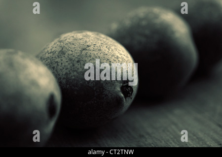 Pyrus communis 'Conference', Pear Stock Photo