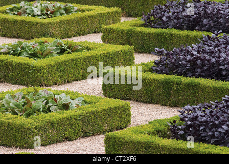 Buxus sempervirens, Box, common hedge enclosing vegetable in a formal garden at Villandry in France. Stock Photo