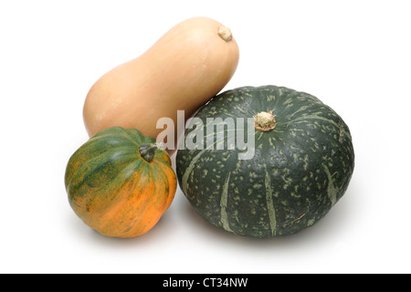 Squash, Squashes, Butternut, Acorn, Buttercup Stock Photo