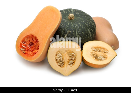 Squash, Squashes, Acorn, Butternut, Buttercup Stock Photo