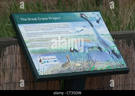 'The Great Crane Project' - Interpretative graphic display board, WWT, London Wetland Centre, Barnes Explanation re-introduction Stock Photo