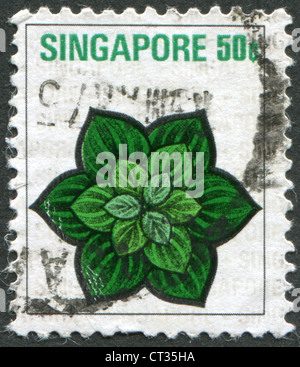 SINGAPORE - CIRCA 1973: Postage stamps printed in Singapore, is depicted Costus malorticanus, circa 1973 Stock Photo