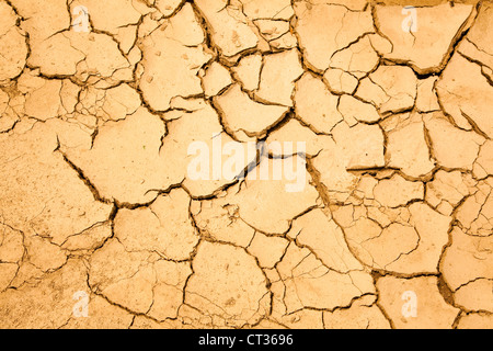 dry season with cracked ground Stock Photo