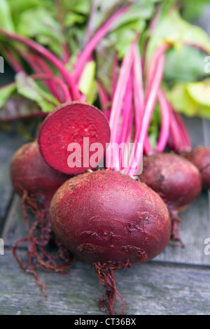 Beta vulgaris, Beetroot, harvested red vegetables on a wooden table with one cut in half facing forward. Stock Photo