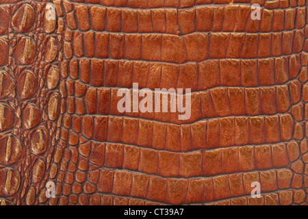 Brown Fake Crocodile Leather Texture Background Stock Photo, Picture and  Royalty Free Image. Image 12933845.