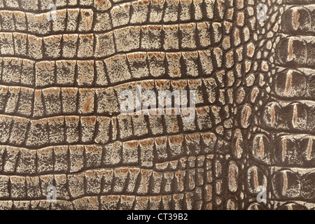 Crocodile leather texture background Stock Photo