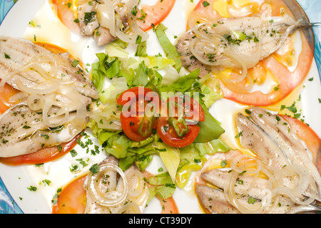 Anchovy salad with tomato and union. Stock Photo