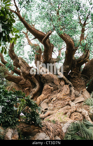 The tree of life in Animal Kingdom, Disney World, Orlando, Florida Stock Photo