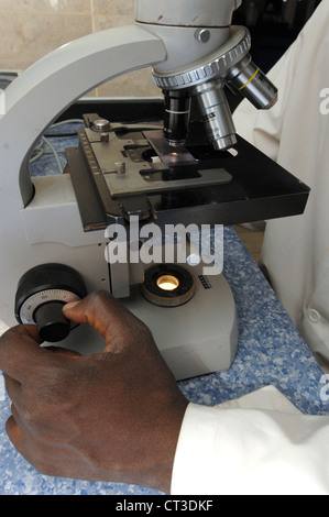 A laboratory technician looking at a sample through the lens of a microscope whilst adjusting the focus of the lens. Stock Photo