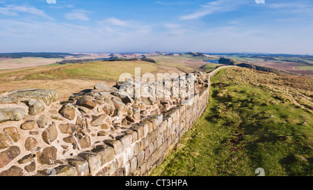Hadrians Wall a roman wall near Steel Rigg Once Brewed Northumberland England UK GB Europe Stock Photo