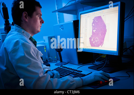 Scientist using computer in lab Stock Photo