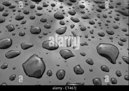 Mass of water droplets on black metallic paint work close up Stock Photo