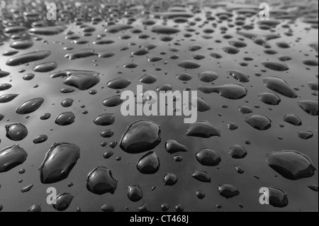 Mass of water droplets on black metallic paint work close up Stock Photo