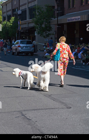 Woman walking two poodles on a city street Stock Photo