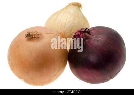 Fresh onion varieties - studio shot with a white background Stock Photo