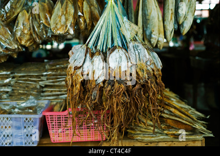 Malaysia, Borneo, Semporna, dried octopus Stock Photo